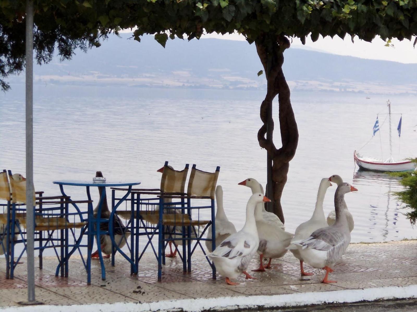 Aparthotel Stavros Lay In Ano Stavros Exterior foto